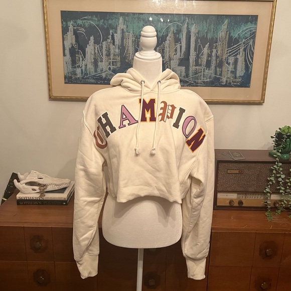 Copy paste champion cropped hoodie - Picture 1 of 6